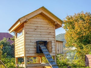 Cómo hacer un gallinero casero con materiales reciclados