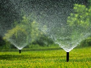 Cómo regar tu jardín de forma eficiente y ecológica