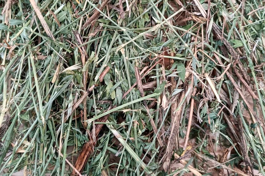 Comprar forraje de avena y alfalfa en San Sadurniño